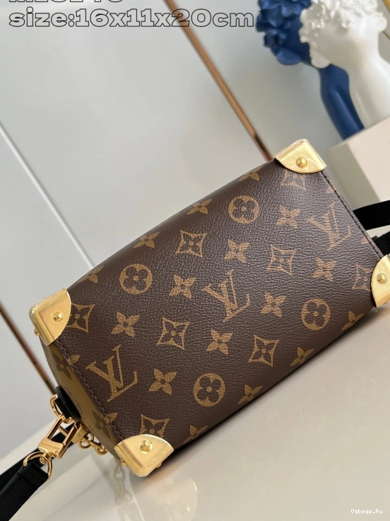 Speedy Vuitton 20 Louis Trunk 0124